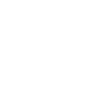 Front Brakes (Discs & Pads)