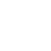 Rear Brakes (Discs & Pads)